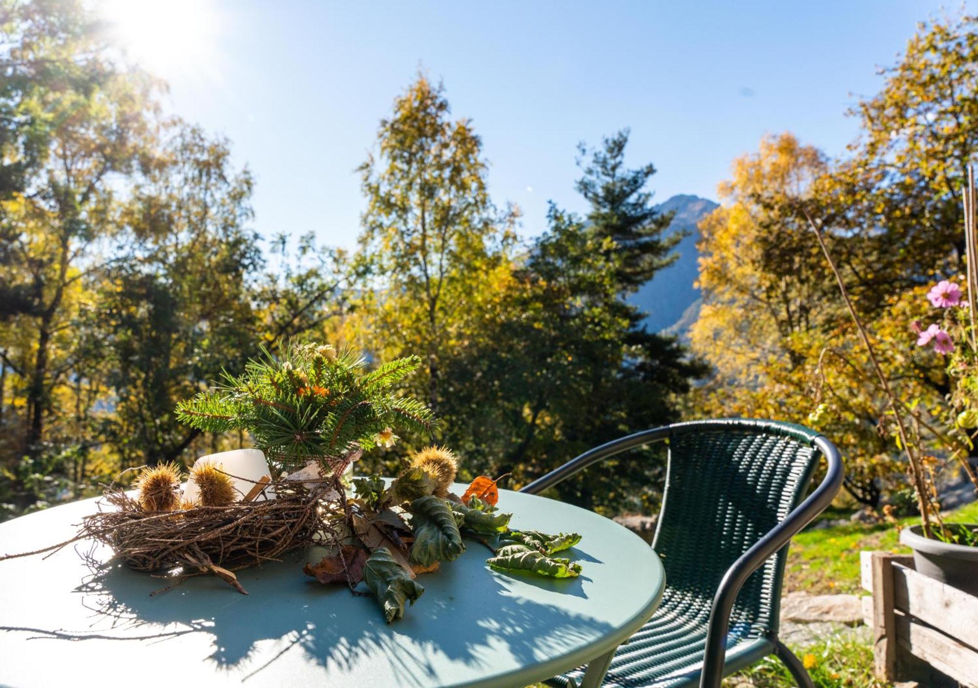 Resalbert Chalet Chiavenna Kültér fotó