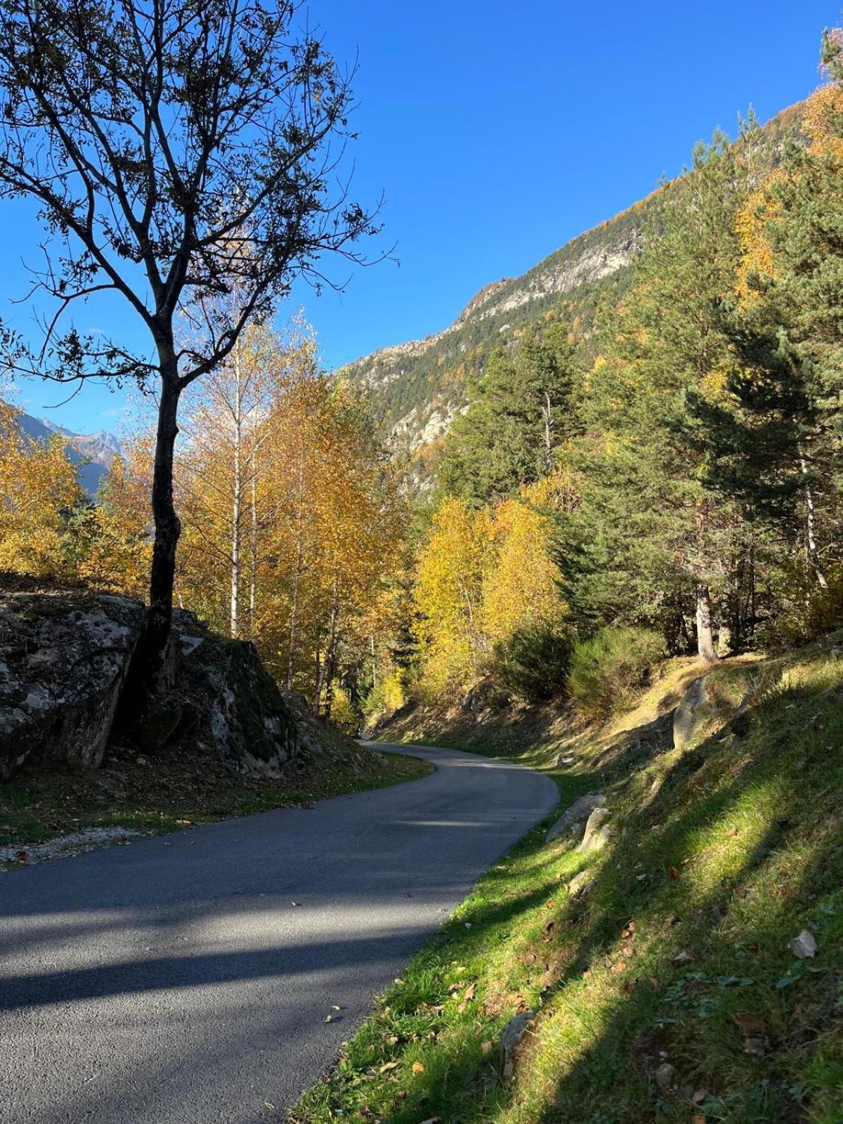 Resalbert Chalet Chiavenna Kültér fotó